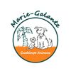 Logo of the association Guadeloupe Animaux